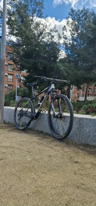 Bicicleta Specialized 29" M CARBONO