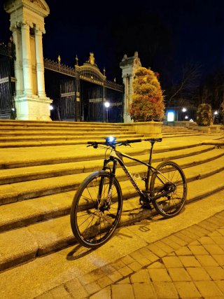Bicicleta Specialized 29" M CARBONO