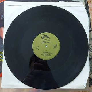 LP Tenebre / Flashing Extended Version