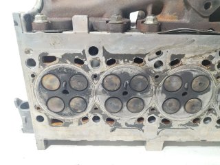 CULATA 73500052
