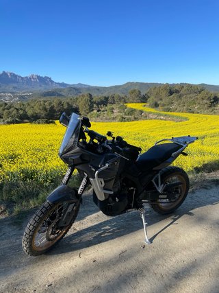 Kove 800X Adventure