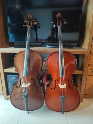 Violonchelo 1/2