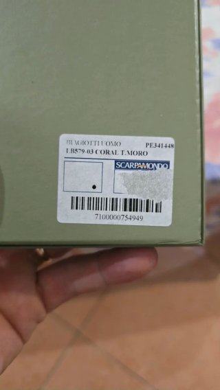 Portafoglio Biagiotti Uomo Verde