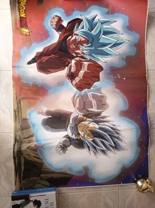 Póster Dragon Ball Super Goku y Vegeta