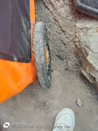 Carro de transporte para mascotas naranja