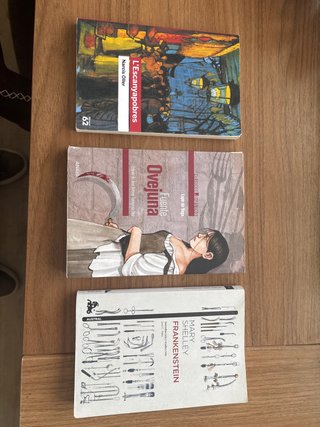 Libros de lectura de bachillerato.
