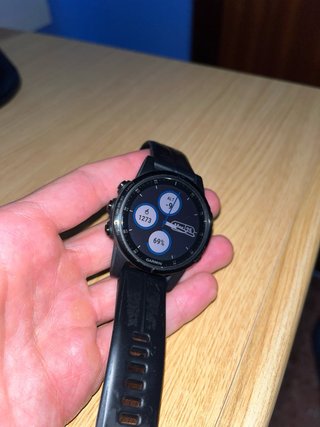 Garmin Fenix 5S Plus Smartwatch Negro