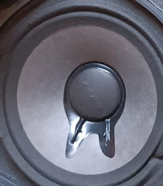 2 Altavoces Bose 802 con procesador