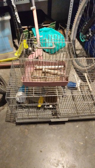 Jaula para pájaros