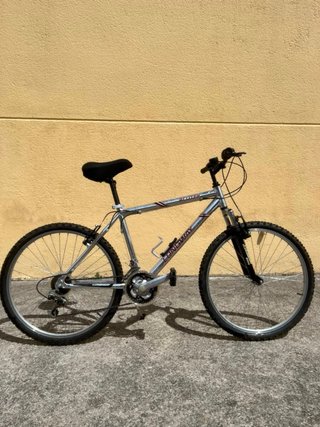 Bicicleta Aluminio Adulto