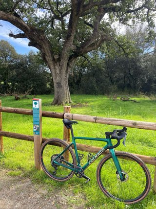 Colnago G4X Talla 52 Shimano GRX