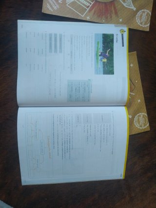 Lingua 5.