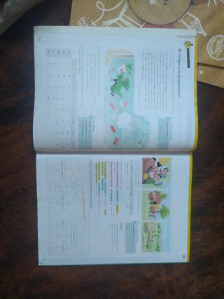 Lingua 5.