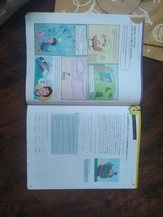 Lingua 5.