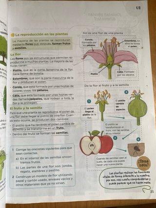 Conocimiento del Medio. Ciencias de la Naturale...