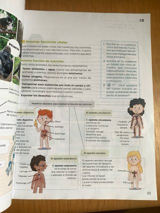Conocimiento del Medio. Ciencias de la Naturale...
