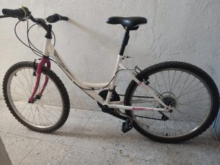 Bicicleta infantil rosa y blanca