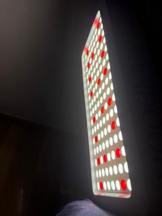 Foco LED Cultivo Potente GREENSIOOR