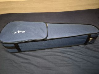 Violín Aileen con accesorios
