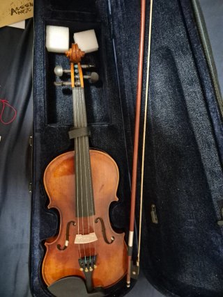 Violín Aileen con accesorios