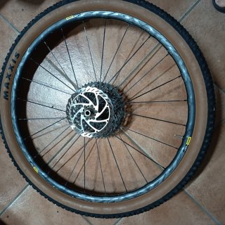 Rueda Mavic crossmax élite