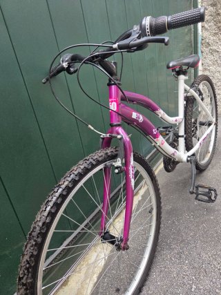 Bicicleta de montaña Mountais Series 50