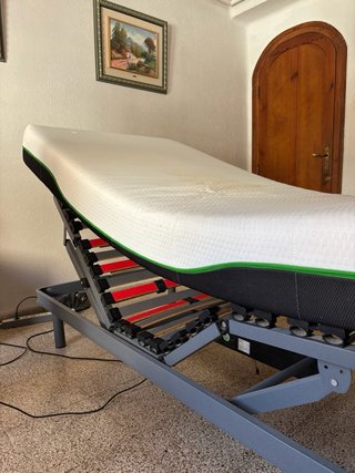Cama articulada eléctrica con carro elevador