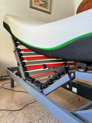 Cama articulada eléctrica con carro elevador