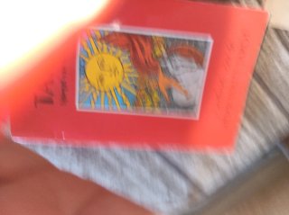 Manual Tarot Rider Waite Spiegel van het Leven