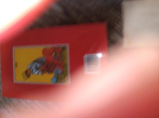 Manual Tarot Rider Waite Spiegel van het Leven