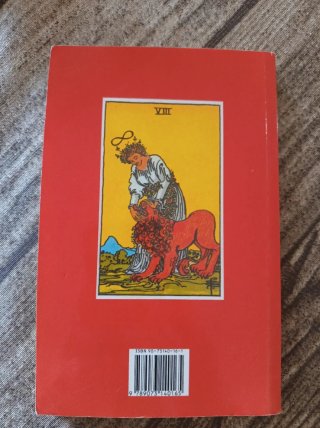 Manual Tarot Rider Waite Spiegel van het Leven