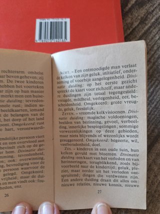 Manual Tarot Rider Waite Spiegel van het Leven