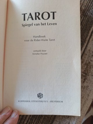 Manual Tarot Rider Waite Spiegel van het Leven