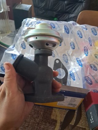 Válvula EGR Magneti Marelli para PSA 2.0 HDI