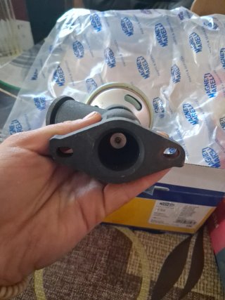 Válvula EGR Magneti Marelli para PSA 2.0 HDI
