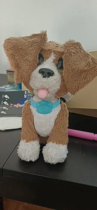 Peluche y Conejo Interactivo