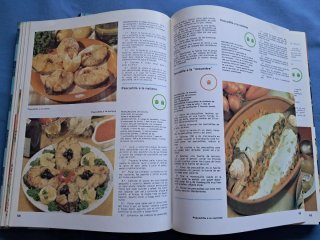 Colección 11 tomos enciclopedia Salvat de Cocina