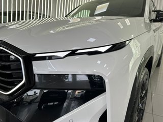 BMW XM XM 50e 350 kW (476 CV)