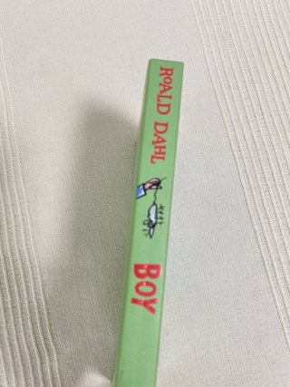 Boy Tales of Childhood