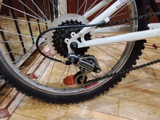 Bicicleta infantil Avigo 20 Full Suspension