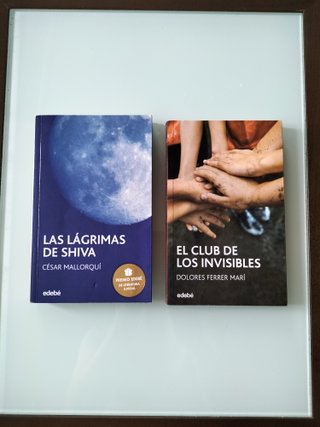 Libro Literatura juvenil.