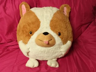 Peluche Corgi Gigante Kawaii