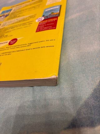 Incontro all'Altro. Testo per l'insegnamento de...
