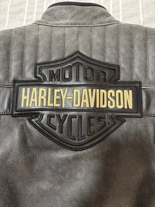 Chaqueta Harley Davidson Piel Hombre Gris