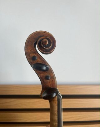 Pack de violines profesionales