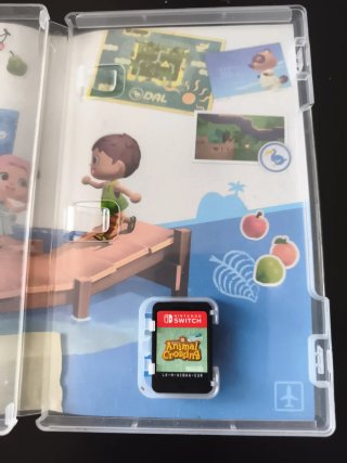 Animal Crossing: New Horizons Switch
