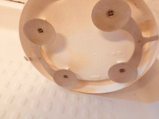 Asiento/Aro Baño para Bebé marca Bébé-jou ventosas