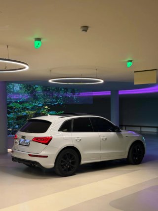 Audi SQ5 2016