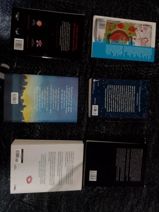 Lote 6 libros juveniles en muy buen estado
