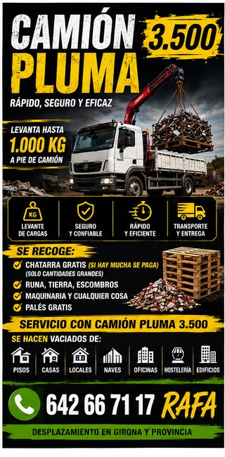 CAMION GRUA